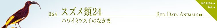 064スズメ類24